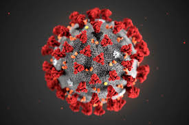 molécula de coronavirus